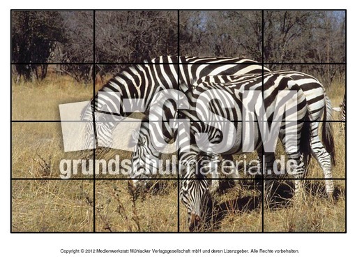Puzzle-Zebra-2.pdf
